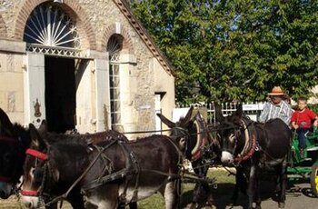 Pony Express de Parnac