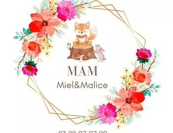 M.A.M Miel et Malice